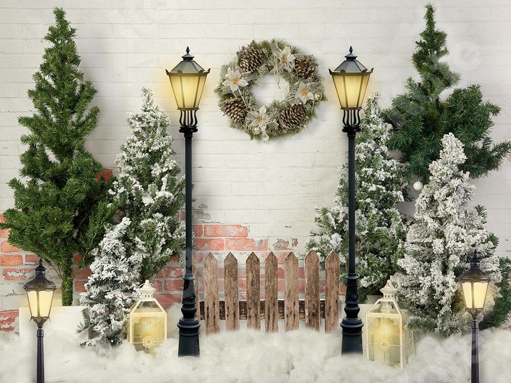 Kate Xmas Backdrop Christmas Garden with Lights Designed by Emetselch - Kate Backdrop AU