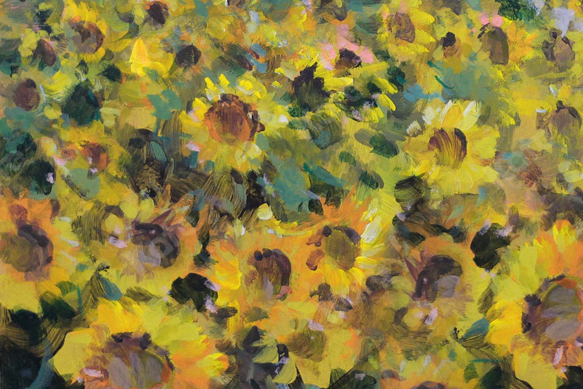 Kate Fine Art Florals Sunflower Field Backdrop Designed by GQ - Kate Backdrop AU