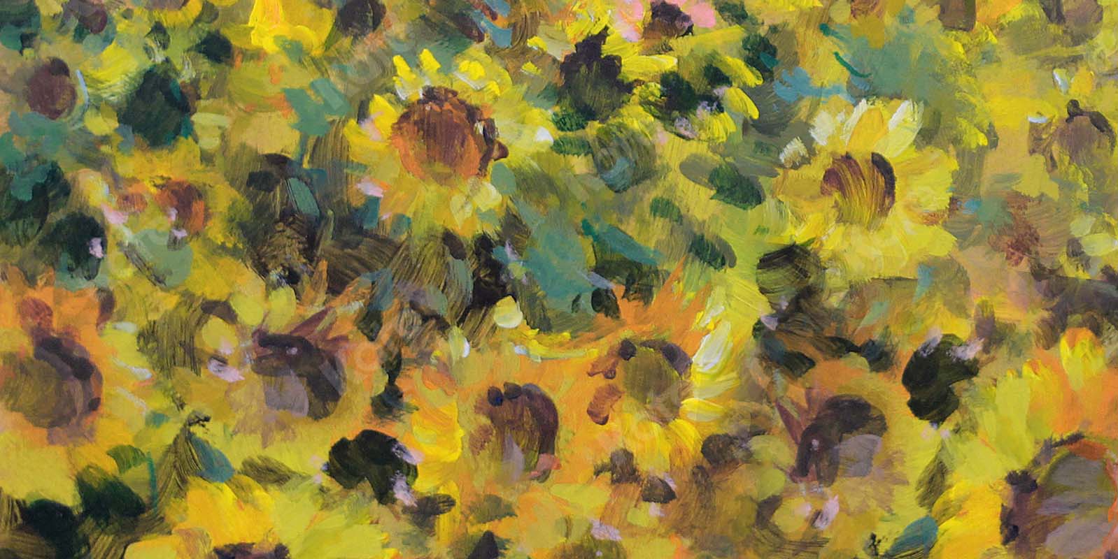 Kate Fine Art Florals Sunflower Field Backdrop Designed by GQ - Kate Backdrop AU