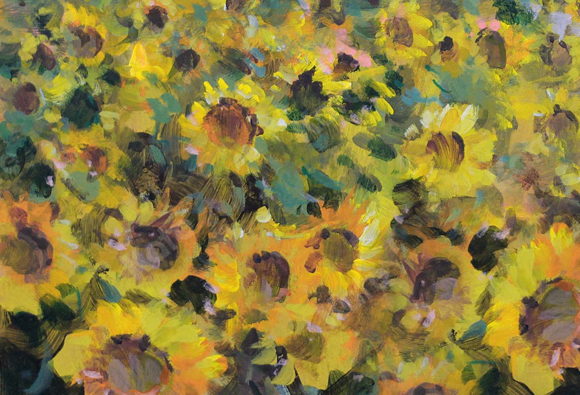 Kate Fine Art Florals Sunflower Field Backdrop Designed by GQ - Kate Backdrop AU
