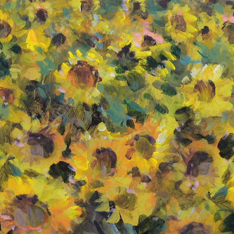 Kate Fine Art Florals Sunflower Field Backdrop Designed by GQ - Kate Backdrop AU