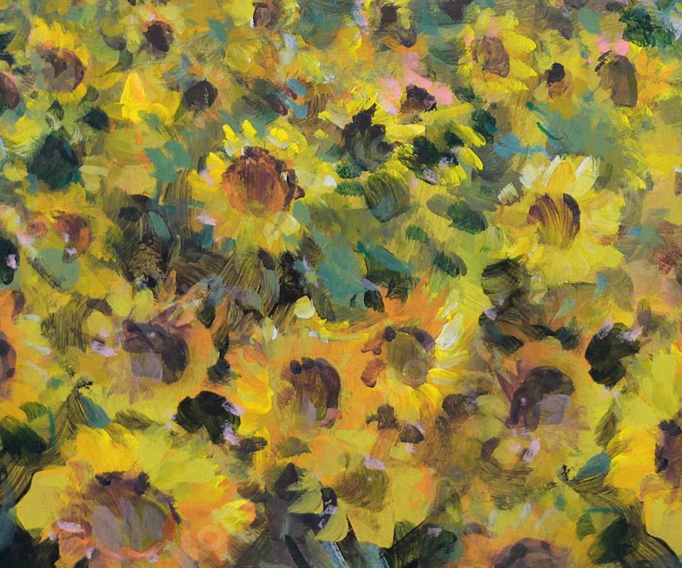 Kate Fine Art Florals Sunflower Field Backdrop Designed by GQ - Kate Backdrop AU