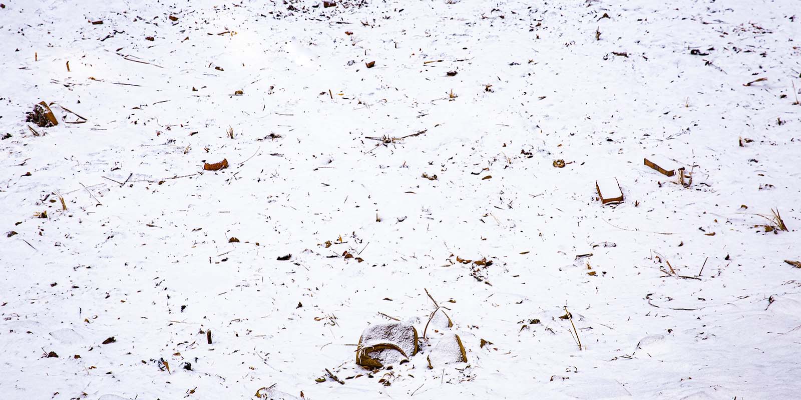 Kate Winter Snowfield Backdrop Designed by Emetselch