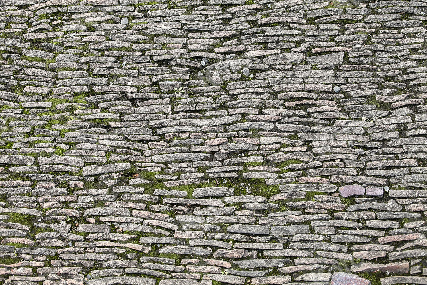 Kate Stones Brick Wall Backdrop Designed by Jia Chan Photography - Kate Backdrop AU