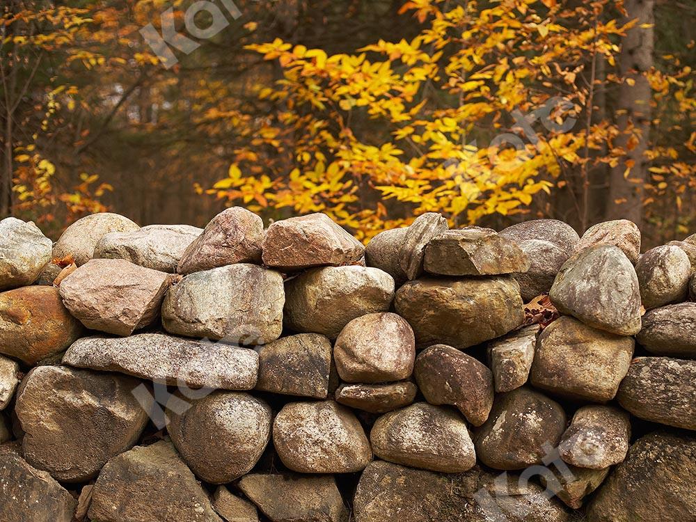 Kate Fall Forest Stone Wall Backdrop Designed by Emetselch - Kate Backdrop AU