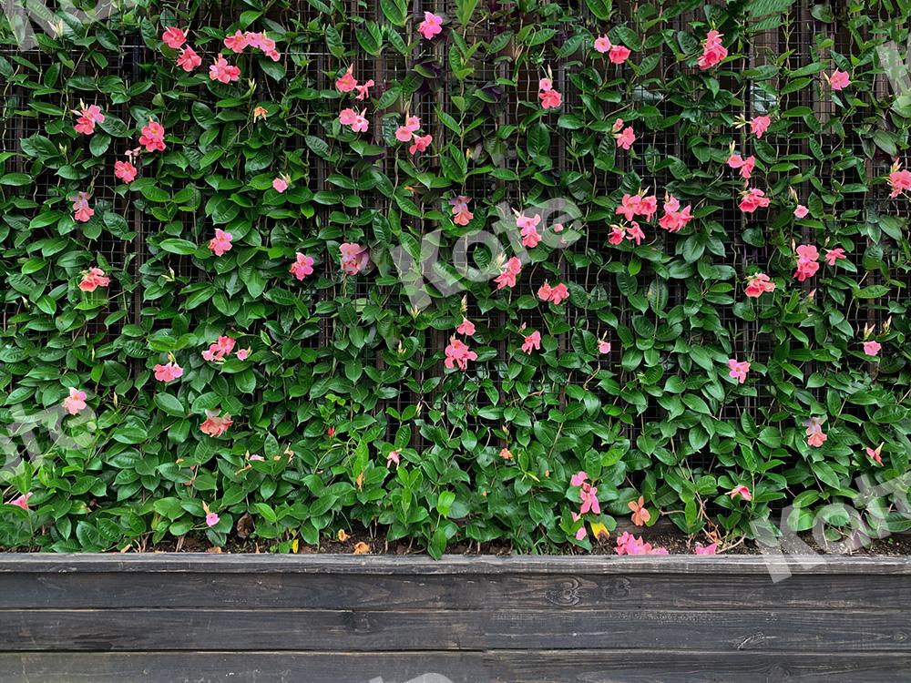 Kate Green Vine Flowers Backdrop Designed by Emetselch - Kate Backdrop AU