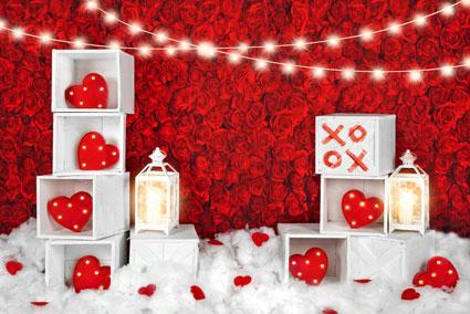 Kate Valentine's Day Roses Wall Xoxo Backdrop Designed by Kate Image