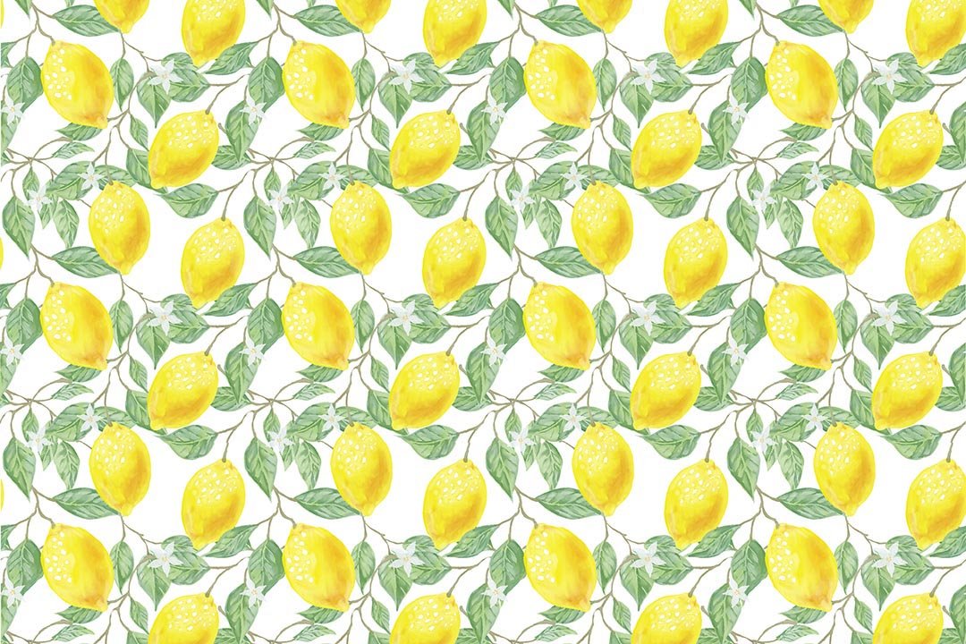 Kate Spring/Summer Yellow Fresh Lemons Backdrop Designed by Chain Photography
