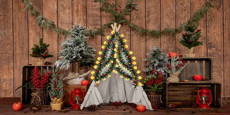 Kate Christmas Winter Tent Wooden Backdrop Designed by Emetselch