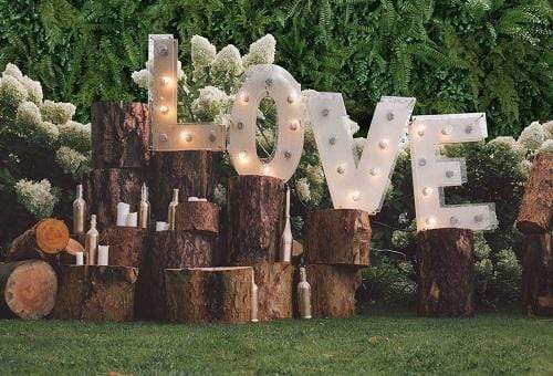 Kate Spring Love Valentine's Day Backdrop for Wedding Photography