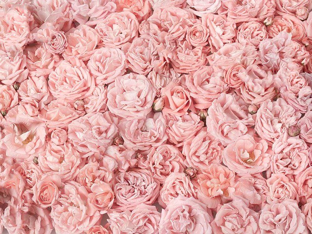 Kate Pink Rose Floral Backdrop Wedding Photography Backgrounds Photo Photography Studio Props