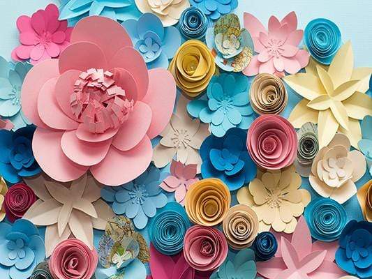 Katebackdrop£ºKate Colored 3D Flower Backdrop Diy Floral Background