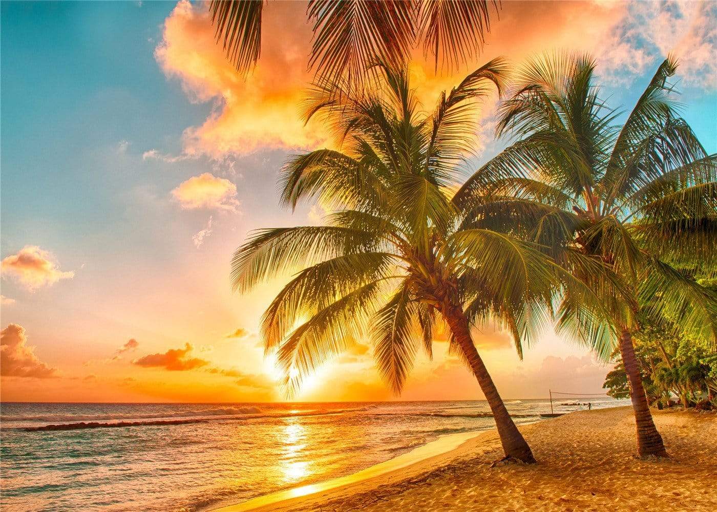 Kate Summer Holiday Coconut trees with Sunset Backdrop