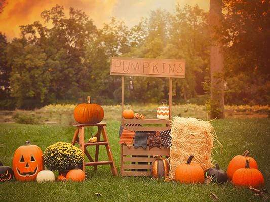 Katebackdrop£ºKate Halloween Photography Backdrop For Party Pumpkins Grassland
