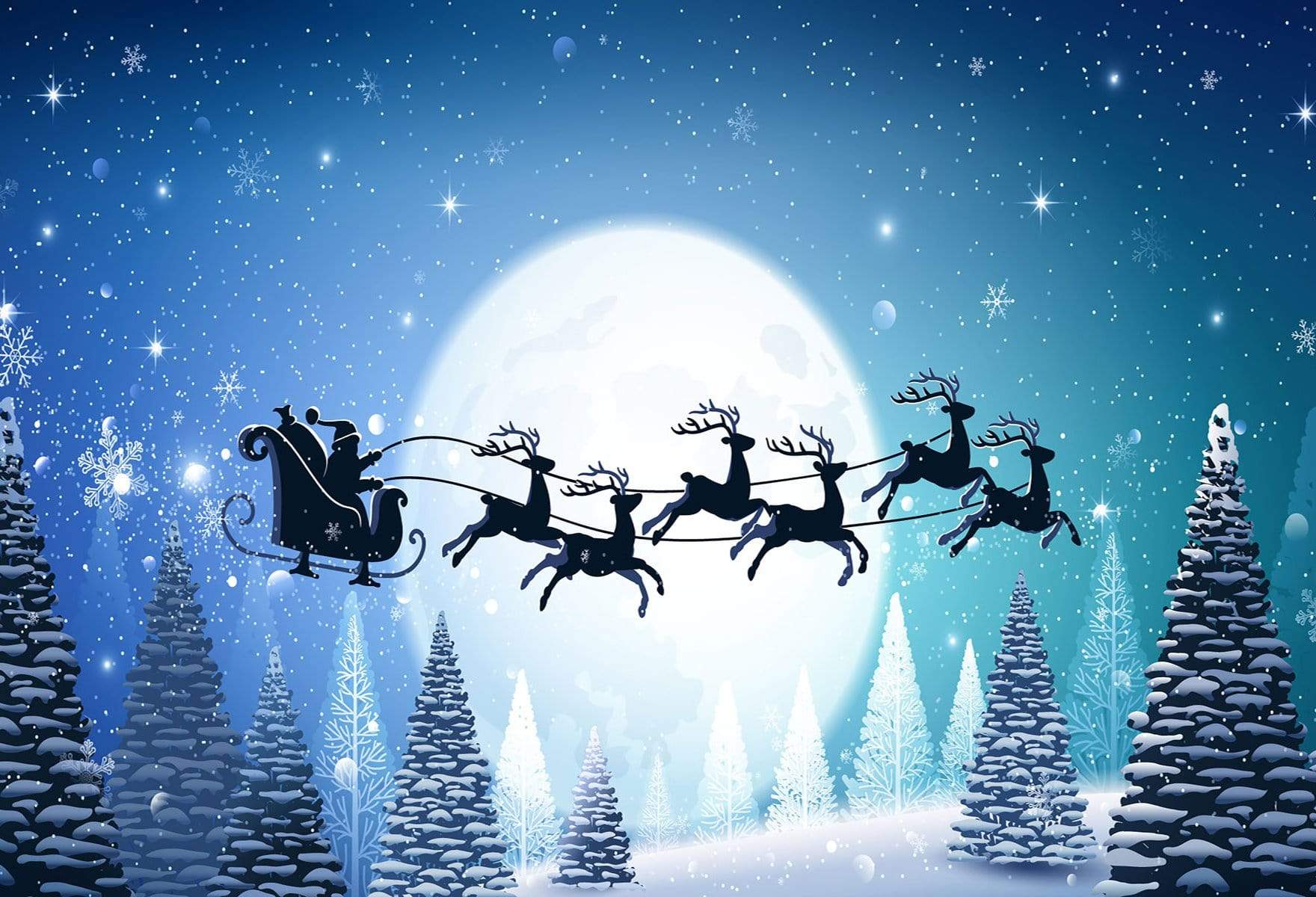 Kate Winter Christmas with Moon and Reindeer Backdrop for Photography - Kate Backdrop AU