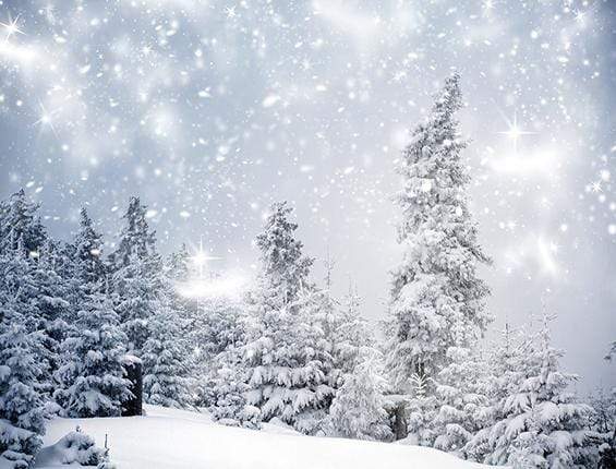 Kate Christmas Winter Wonderland With Trees Backdrop for Photography - Kate Backdrop AU