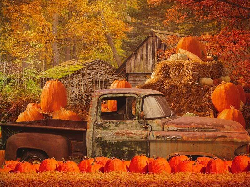 Kate Autumn Maple Forest With Pumpkins And Old Truck for Photography - Kate Backdrop AU