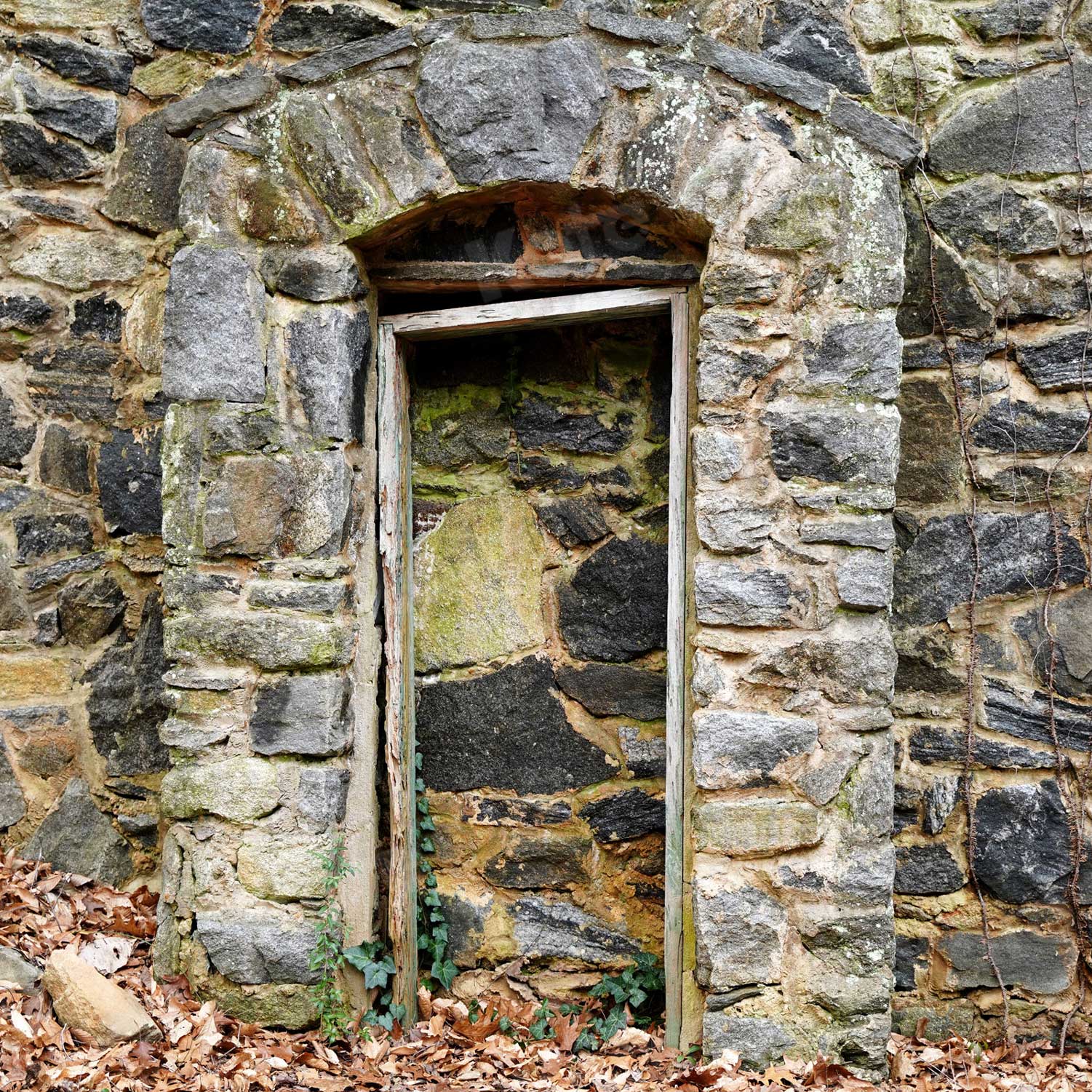 Kate Medievil Rock Doorway Backdrop designed by Arica Kirby