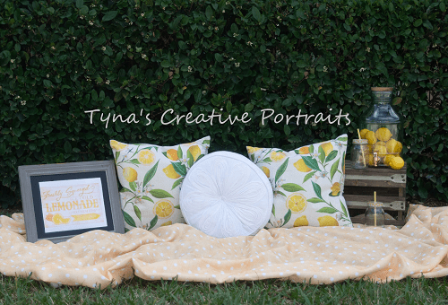 Kate Holiday Picnic Pillows Spring Backdrop for Photography Designed by Tyna Renner