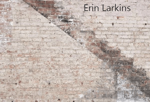 Kate Retro Brickstairs Backdrop for Photography Designed by Erin Larkins