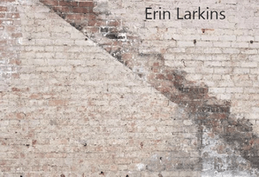 Kate Retro Brickstairs Backdrop for Photography Designed by Erin Larkins - Kate Backdrop AU