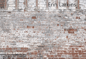 Kate Faded Retro Brick Backdrop for Photography Designed by Erin Larkins