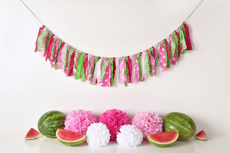 Kate Summer Pink and Green Watermelon Birthday Backdrop for Photography Designed by Mandy Ringe Photography