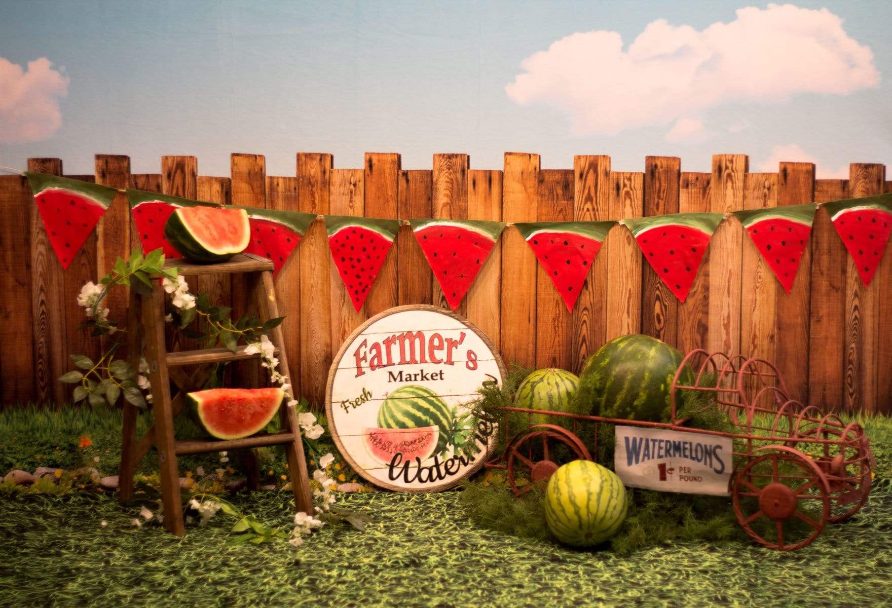 Kate Sunset Fence With Watermelons Children Backdrop for Photography Designed by Stephanie Gabbard