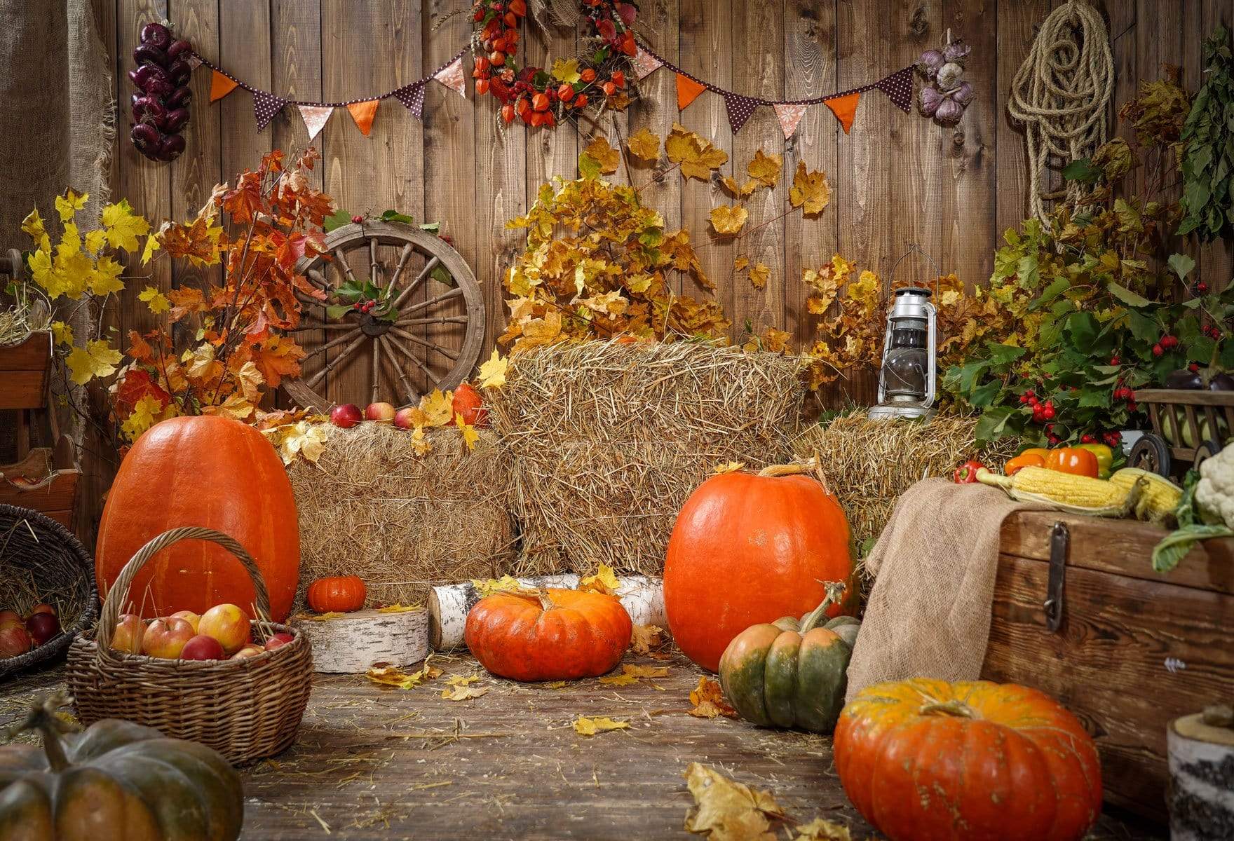 Kate Autumn Harvest Thanksgiving Pumpkins Backdrop for Photography - Kate Backdrop AU