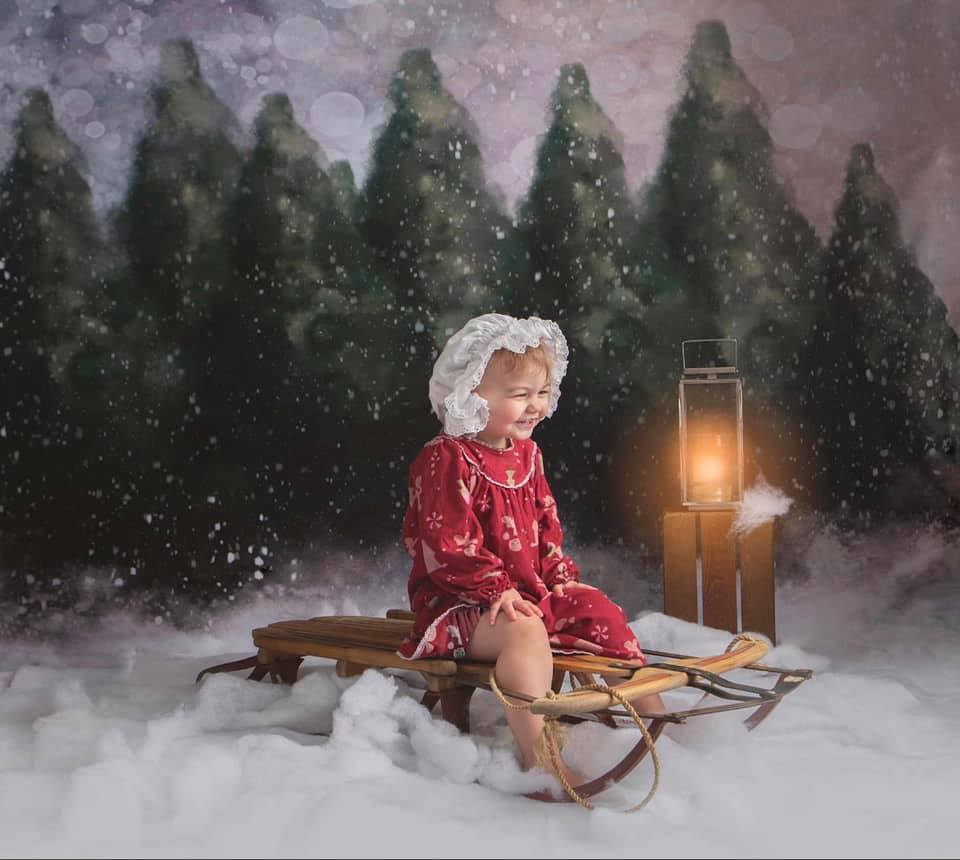 Kate Dazzling Winter Snowy Forest Backdrop for Photography Designed by Modest Brushes - Kate Backdrop AU