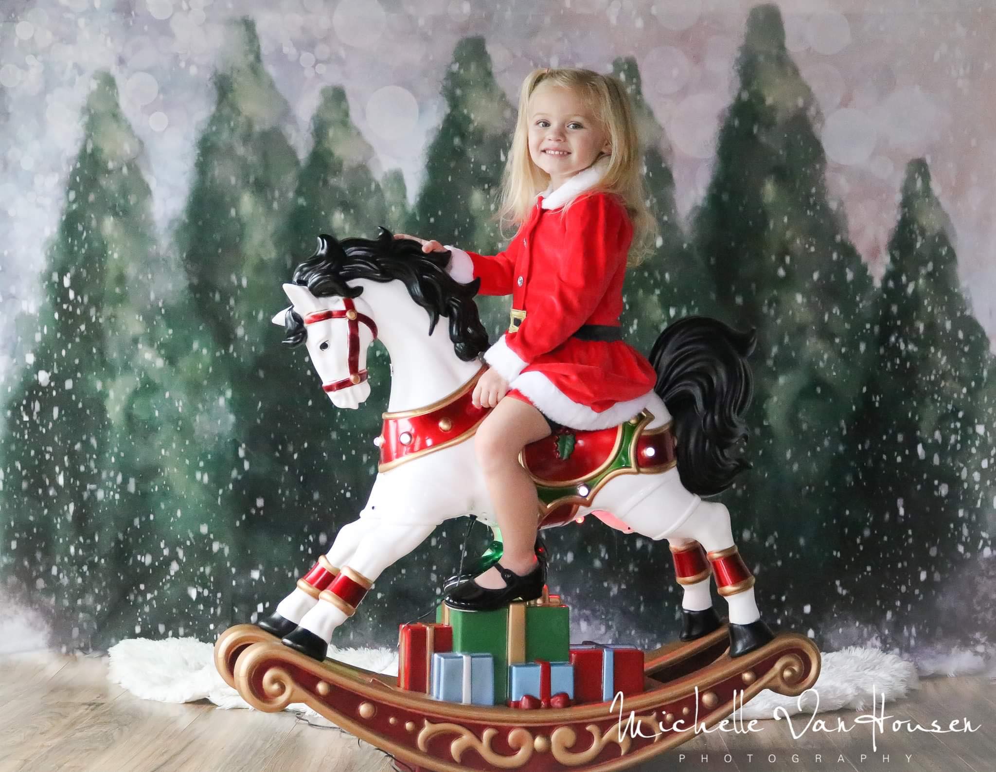 Kate Dazzling Winter Snowy Forest Backdrop for Photography Designed by Modest Brushes - Kate Backdrop AU