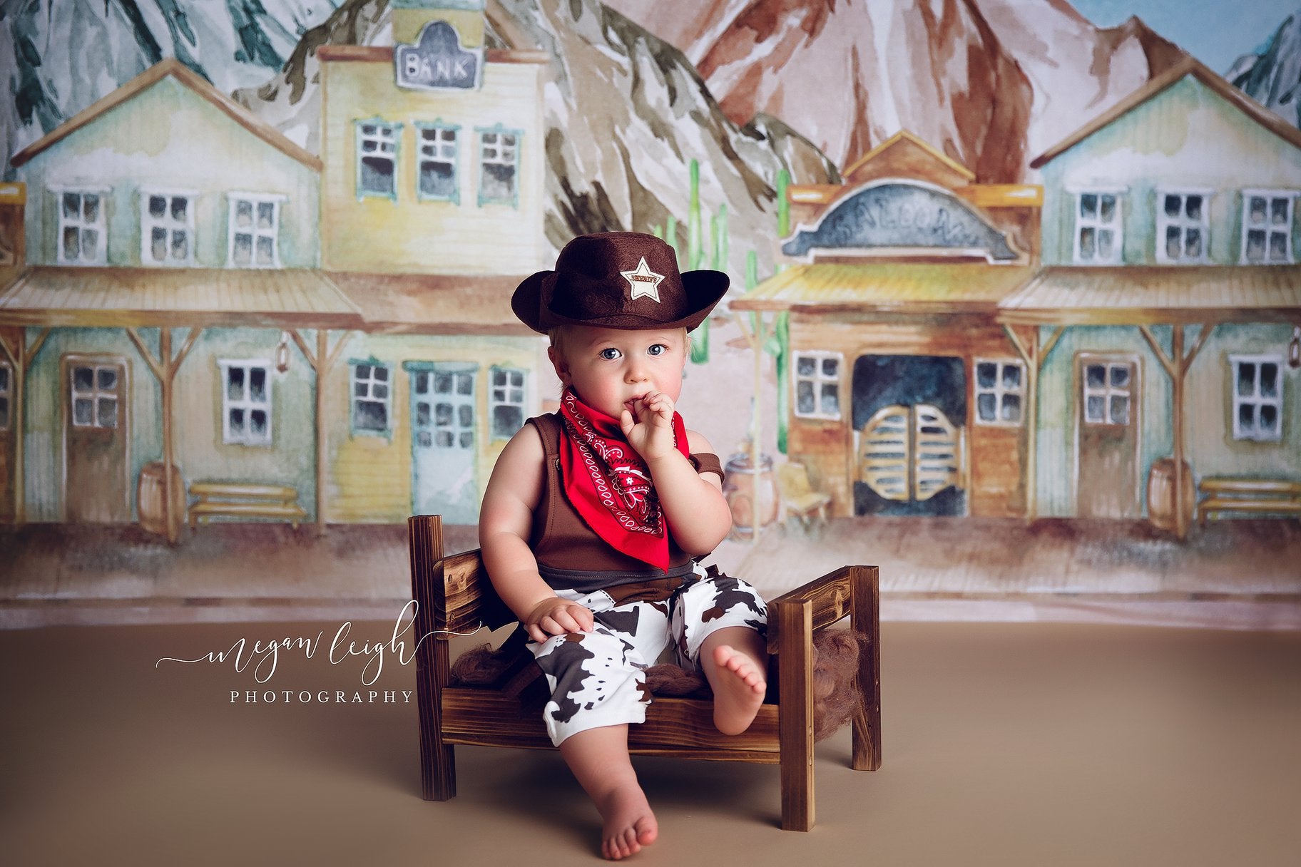 Kate  Western Town Backdrop Designed by Megan Leigh Photography - Kate Backdrop AU