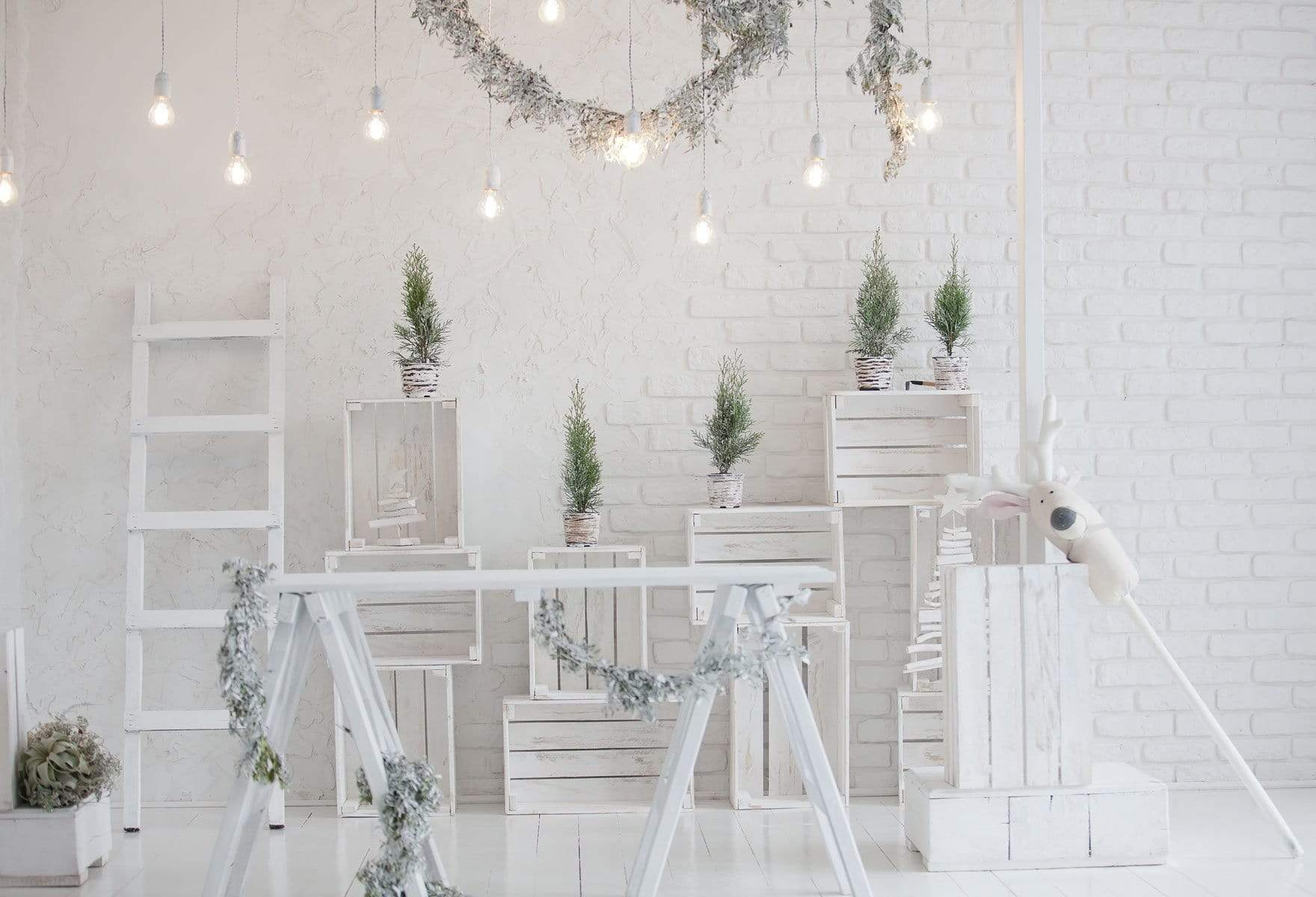 Kate Christmas White Room with Potted Plant Decorations Backdrop