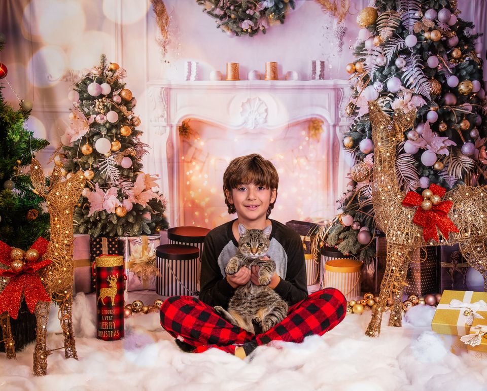 Kate Christmas White Room Pinetrees Gifts Fireplace Decoration Backdrop for Photography - Kate Backdrop AU