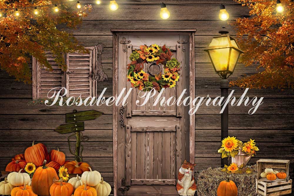 Kate Halloween Backdrop Designed by Rosabell Photography - Kate Backdrop AU