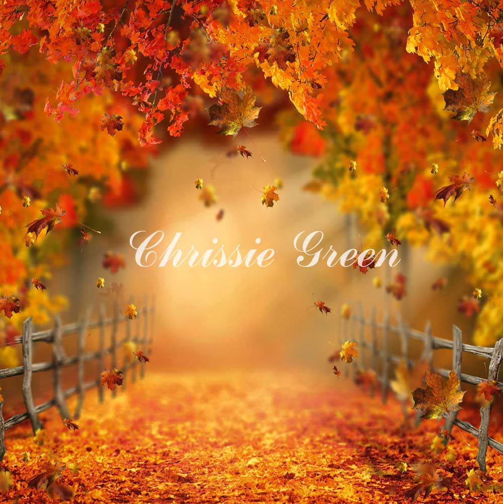 Kate Autumn Woods Backdrop Designed by Chrissie Green - Kate Backdrop AU