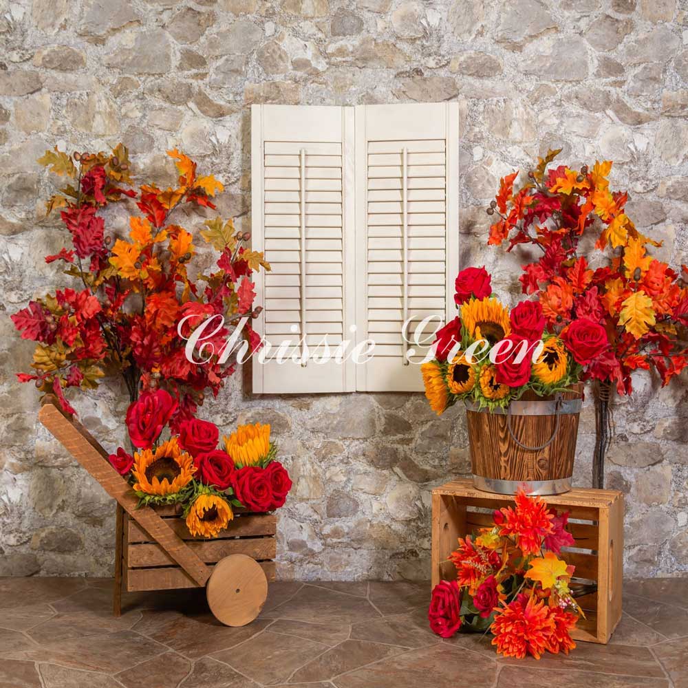 Kate Fall Cobblestone Backdrop Designed by Chrissie Green - Kate Backdrop AU