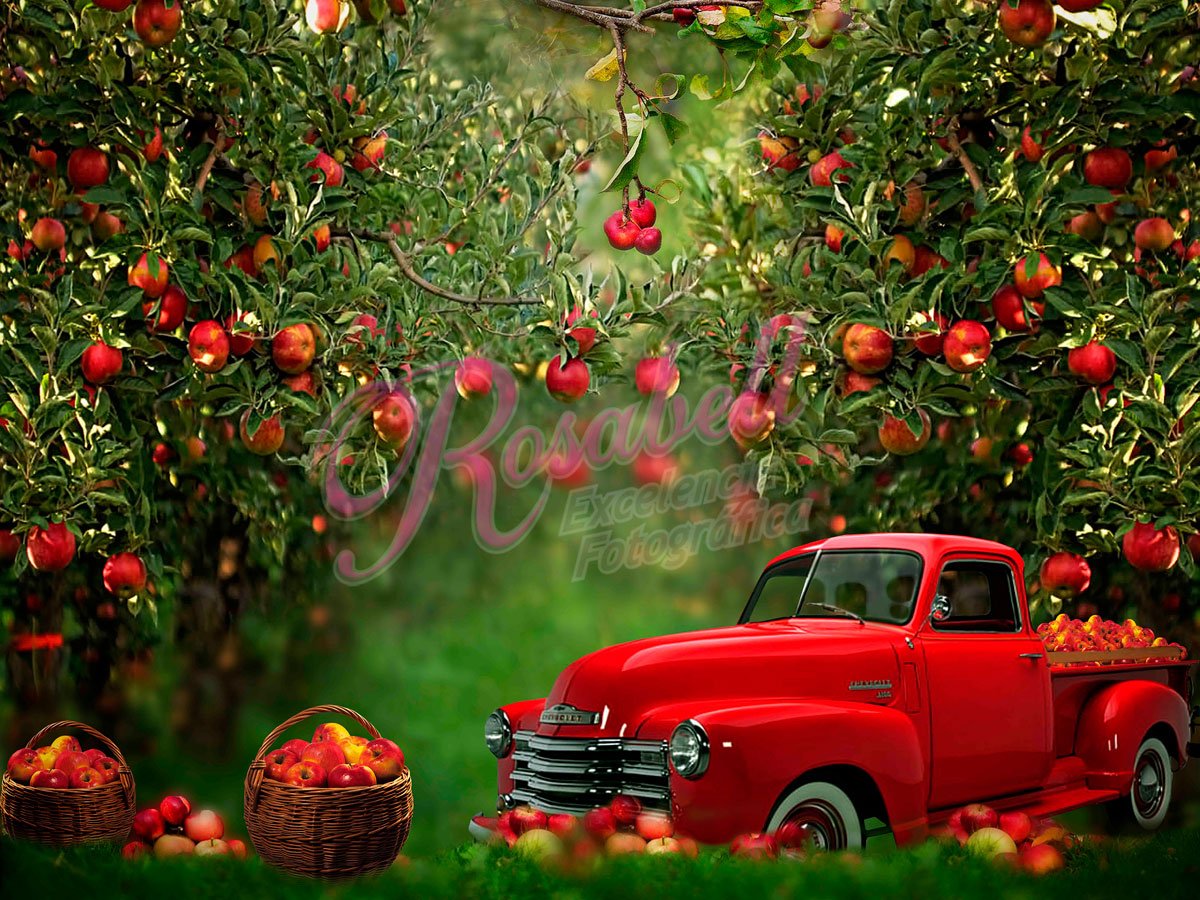 Kate Summer Apple Orchard Red Truck Backdrop Designed by Rosabell Photography - Kate Backdrop AU
