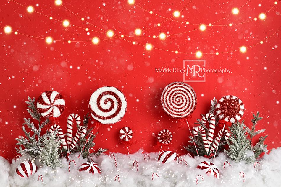 Kate Christmas Peppermint Wonderland Backdrop Designed by Mandy Ringe Photography