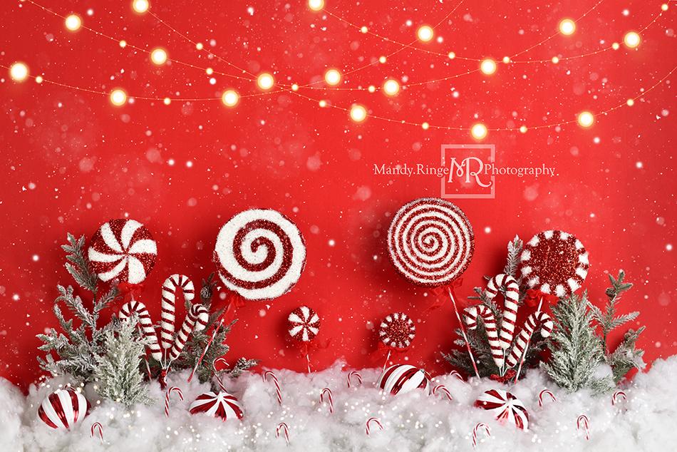 Kate Christmas Peppermint Wonderland Backdrop Designed by Mandy Ringe Photography - Kate Backdrop AU