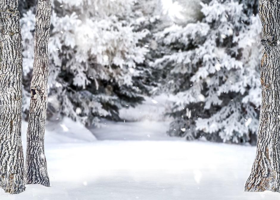 Kate Winter Forest Snow Backdrop Designed by Arica Kirby - Kate Backdrop AU