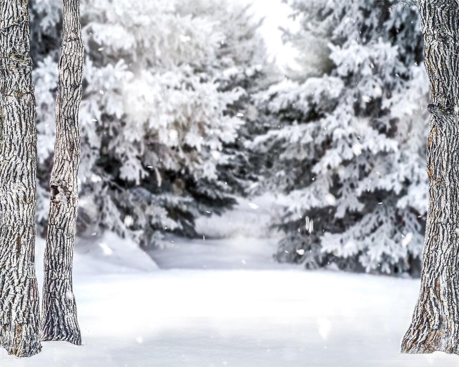 Kate Winter Forest Snow Backdrop Designed by Arica Kirby - Kate Backdrop AU