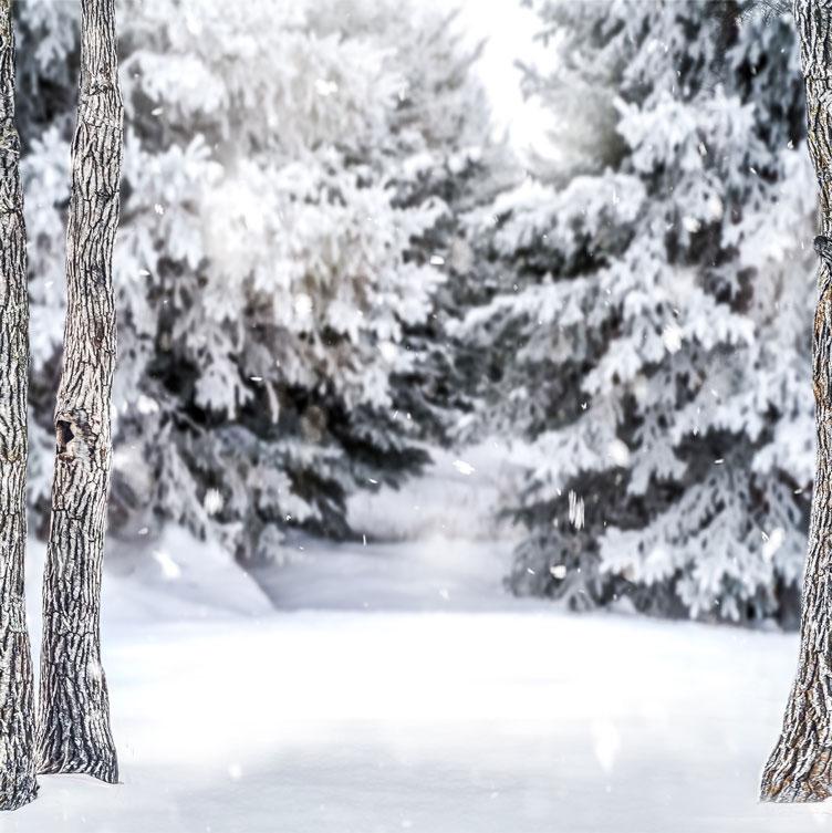 Kate Winter Forest Snow Backdrop Designed by Arica Kirby - Kate Backdrop AU
