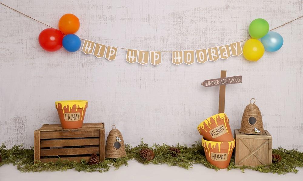 Kate Pooh Cake Smash Bee Birthday Backdrop Designed by Melissa King - Kate Backdrop AU
