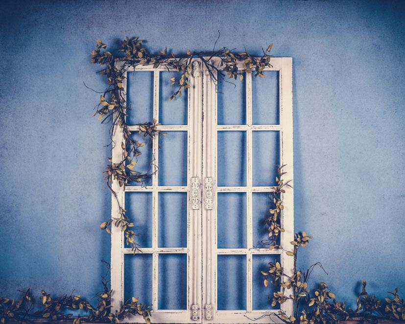 Kate Spring/mother's Day White Doors Blue Backdrop Designed by Arica Kirby