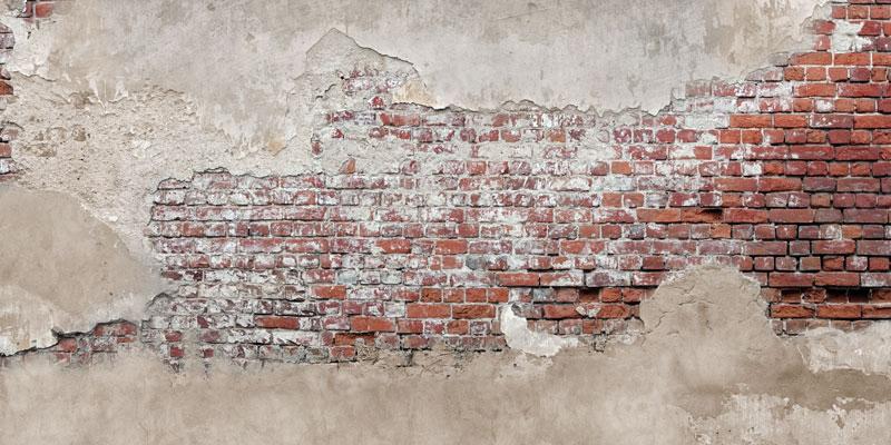 Kate Peeling Brick Wall Backdrop for Photography