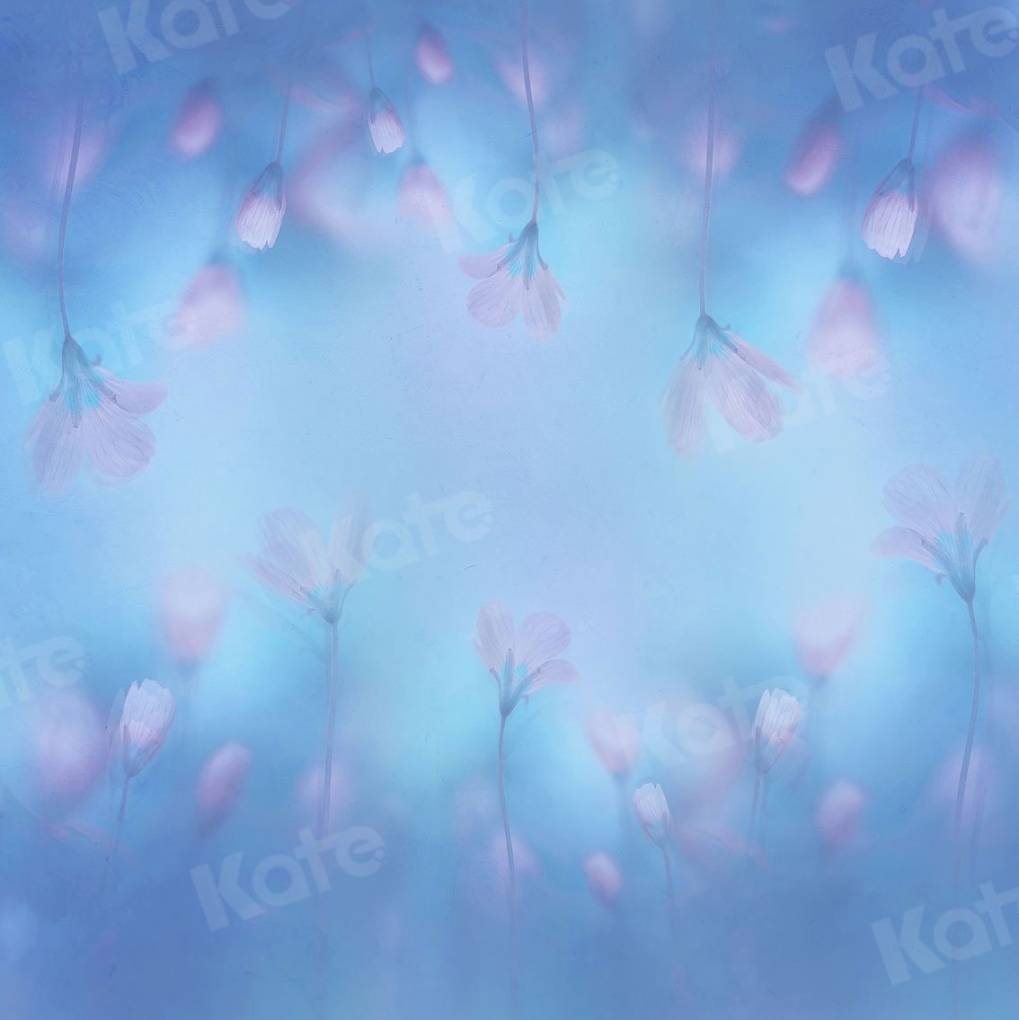 Kate Fine Art Light Pink Florals Blue Backdrop for Photography - Kate Backdrop AU