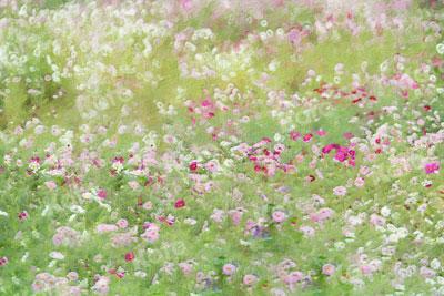 Kate Fine Art Grass and Flowers Oil Painting Backdrop for Photography