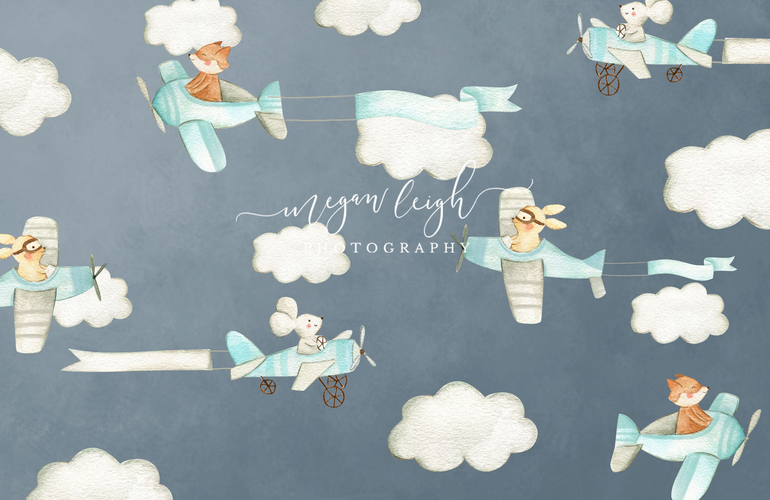 Kate Cake Smash Air Planes Backdrop Designed by Megan Leigh Photography - Kate Backdrop AU