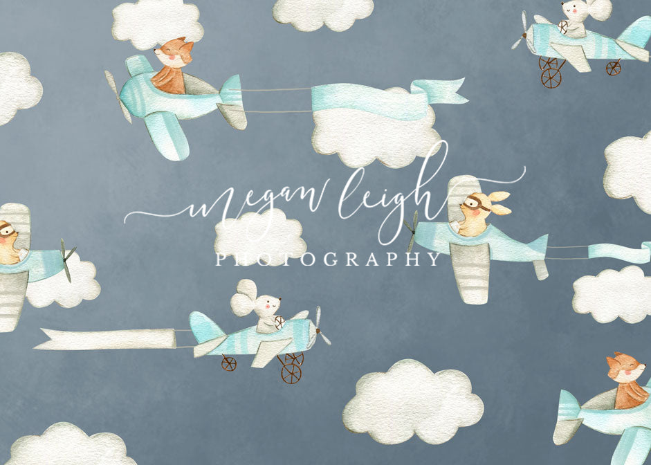 Kate Cake Smash Air Planes Backdrop Designed by Megan Leigh Photography - Kate Backdrop AU